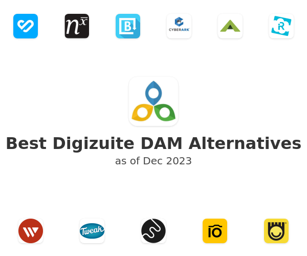 Best Digizuite DAM Alternatives