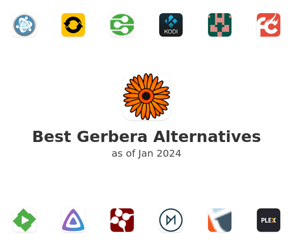 Best Gerbera Alternatives