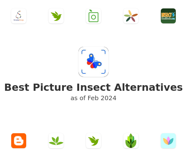 Best Picture Insect Alternatives