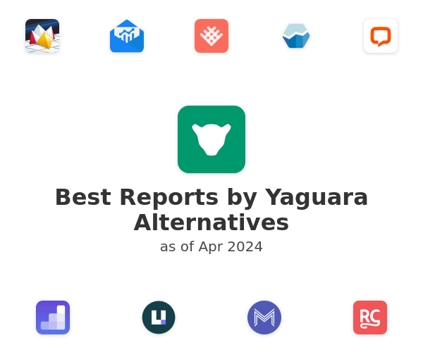 Best Reports by Yaguara Alternatives