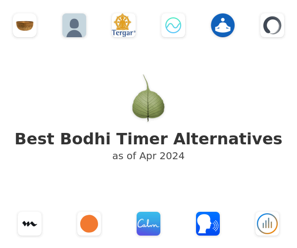 Best Bodhi Timer Alternatives