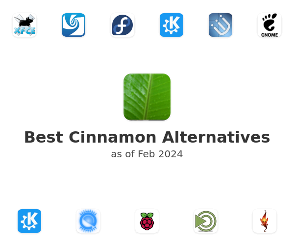 Best Cinnamon Alternatives