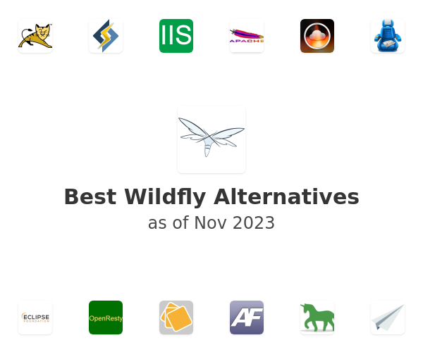 Best Wildfly Alternatives