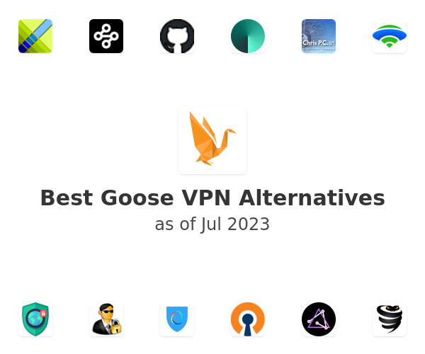 Best Goose VPN Alternatives