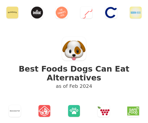 Best Foods Dogs Can Eat Alternatives