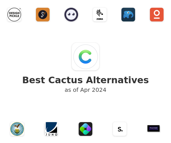 Best Cactus Alternatives