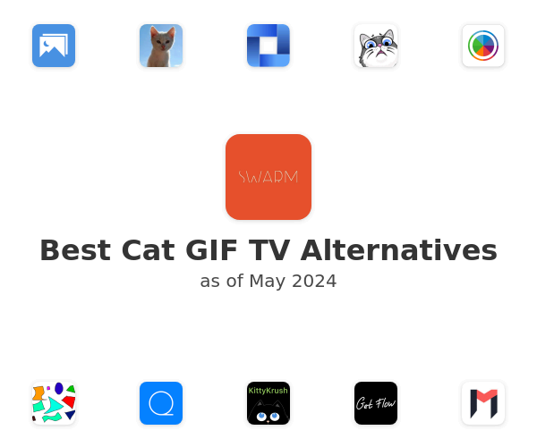 Best Cat GIF TV Alternatives