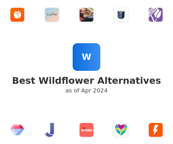Best Wildflower Alternatives