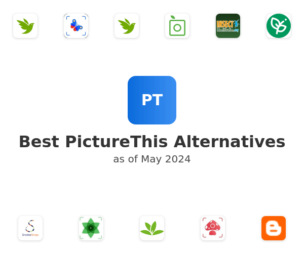 Best PictureThis Alternatives