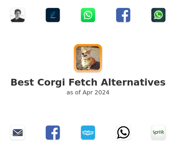 Best Corgi Fetch Alternatives