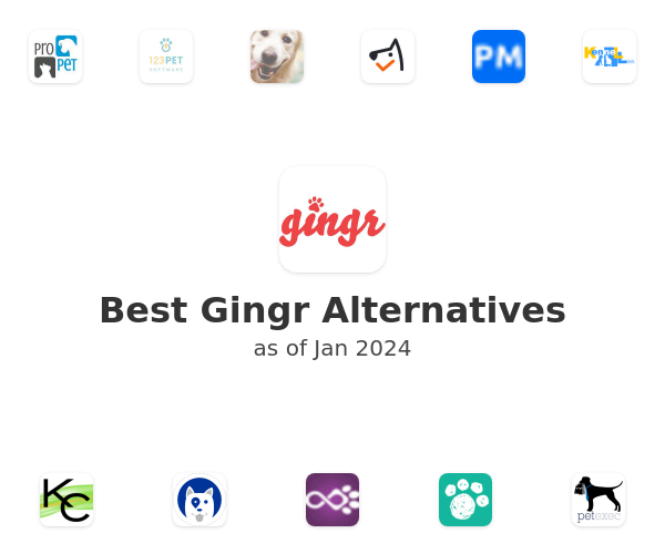Best Gingr Alternatives