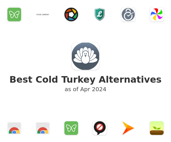 Best Cold Turkey Alternatives
