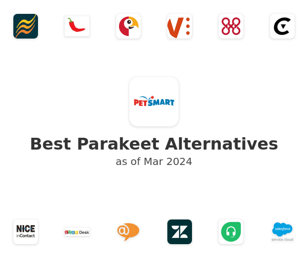 Best Parakeet Alternatives