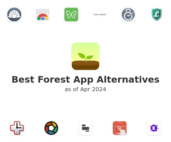 Best Forest Alternatives