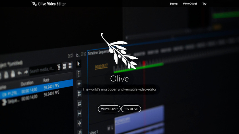 Olive Video Editor Landing Page