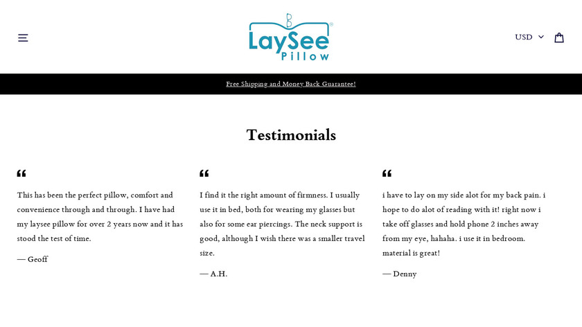 LaySee Pillow Landing Page