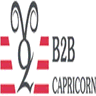 B2B Capricorn logo