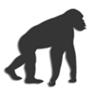 Evolution 2 logo