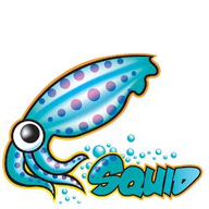 Squid Proxy logo