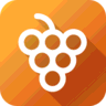 Product Fruits icon