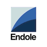 Endole Insight logo
