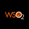 WSO2 Business Activity Monitor logo