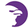 CanvasFlip icon