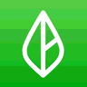 Branch Messenger logo
