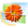 Microsoft Office Picture Manager icon