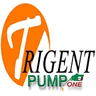 PumpOne.in icon