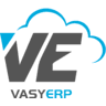 VasyERP logo