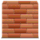 Murus Firewall icon