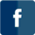 Facebook friends feed icon