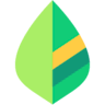 Mint Bills logo