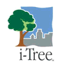 i-Tree logo