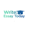 Write Essay Today icon