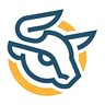 Stellar Platform logo