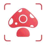 Picture Mushroom logo
