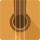 Fusion Guitar icon