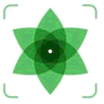 Plant Identification logo