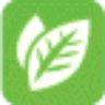 Urban veggie garden logo