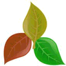 Plantassoc logo