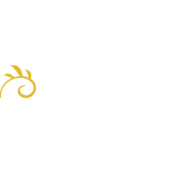 TheTvMovie logo