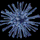 JewelStar icon