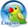 Linguee icon