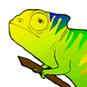 Lizard logo