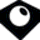 IrisVision icon
