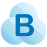 Braina logo