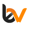 BytesView logo
