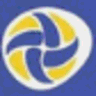 Vollley logo